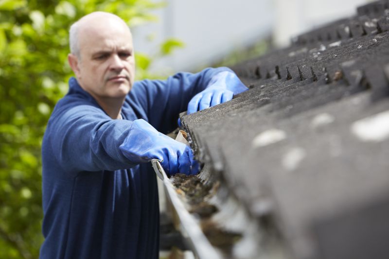 Gutter Cover Cleaning